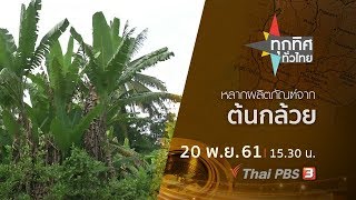 ทุกทิศทั่วไทย : ประเด็นข่าว ( 20 พ.ย. 61)