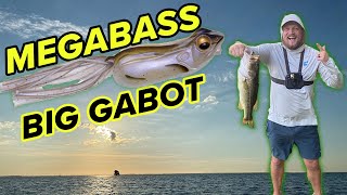 Frog Fishing with MEGABASS Big Gabot!