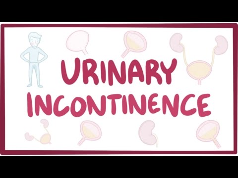 Urinary incontinence - causes, symptoms, diagnosis, treatment, pathology Urinary incontinence - causes, symptoms, diagnosis, treatment, pathology