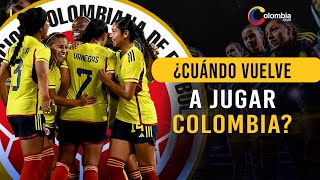 Selección Colombia: ¿Cuándo volverá a jugar? y ¿Qué necesita para ser líder de grupo?