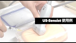 【製品紹介】US Sensist を使った、穿刺教育の実際