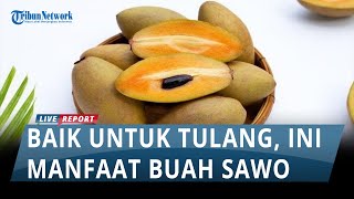 Manfaat Buah Sawo untuk Kesehatan: Sumber Energi hingga Baik untuk Tulang