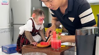 Lily obediently helps dad make watermelon juice after school