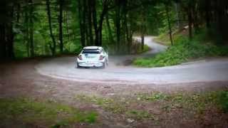 3 MIESTO NA RALLY LUBENíK 2014 -KAHLE Mathias- DOERR Christian GE ŠKODA Fabia WRC- 6RS