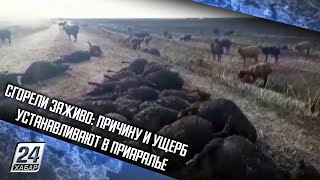 Сгорели заживо: причину и ущерб устанавливают в Приаралье