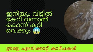 മഴയത്ത് വീട്ടുമുറ്റത്ത്  വന്ന  മീനുകളുടെ വലിപ്പം കണ്ടോ