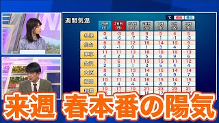 来週は春本番の陽気　花粉飛散や融雪災害に注意