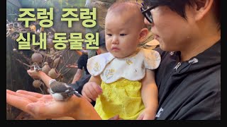 [VLOG] 서울 실내동물원에서 주말 육아하기