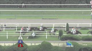 2011年7月3日 京都4R 障害未勝利 シゲルダイセン