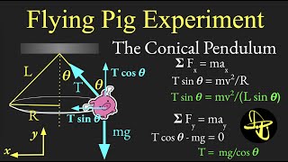 Flying Pig:  Uniform Circular Motion and Centripetal Force