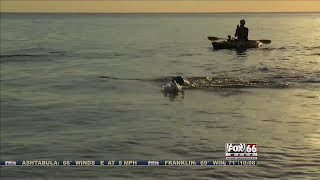 Swimmer Makes It to Erie