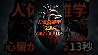 人体の雑学 心臓が止まる13秒【 人体の不思議 医療 健康 】