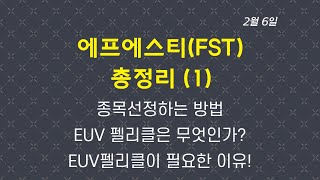 에프에스티 총정리 1편 / EUV / 애스앤에스텍 / 에프에스티 / EUV펠리클