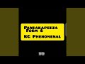 Pandakapedza Form 6