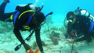 5 REAL Mermaid Sightings Caught On Camera