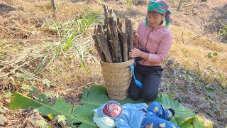 To raise 3 children, the single mother always tries every day.||Ly Ngoc Nhung