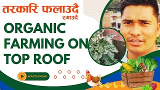 घरको छतमा यसरि तरकारी फ़लाउन सकिने रहेछ ।। Organic Farming On Top Roof ||