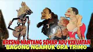 PERTAMA KALI KRESNA NANTANG SEMAR ADU KEKUATAN KI DALANG SENO NUGROHO