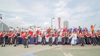 [4K] 総踊り (相模原乱舞 / 神戸わっしょい / うらじゃ音頭)　神戸よさこいまつり 2019 本祭1日目