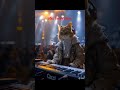 Smart usa cat #smartusacat #usacatmusic #musicofcat #catforusa #beutycat #tilentedcat #sGstelevision