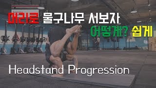 헤드스탠드를 배워보자. 쉽게. [Headstand Progression]