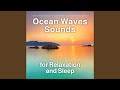 Ocean Waves Sounds Without Music