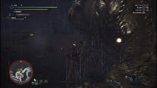 MHW　　イビルジョーVSドスジャグラス