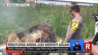 Penutupan Arena Judi Merpati Aduan | REDAKSI (08/10/21)