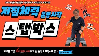 시니어 스탭박스 허리통증 있으신분 이렇게 운동해보세요.(Senior step box exercises can prevent back pain.)