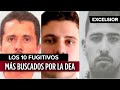 Los más buscados por la DEA