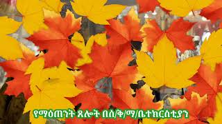 የማእጠንት ጸሎት በአዲስ አበባ ሰአሊተ ምሕረት