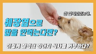 췌장염으로 밥을 안먹는다면?