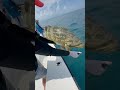 Releasing The Oceans Strongest Fish!