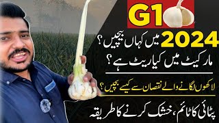 g1 garlic kaha sale kry, g1 garlic ka rate, g1 garlic ki patai kb kary, g1 lehsan