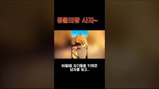 동물과교감영상~ 감동감동..#shorts