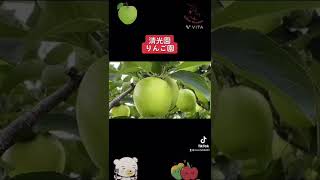 りんごが収穫できるまでリンゴ園の大変さ清光園🍎収穫前の作業Until the apples can be harvested The difficulty of the apple orchard