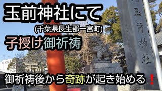 玉前神社⛩️にて子授け御祈祷✨当日から奇跡を実感‼️【アラフォー主婦の日常vlog】