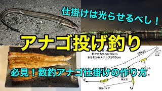 【アナゴ釣り】必見！根岸港防波堤からの投げ釣り！仕掛けは光らせるべし！数釣アナゴ仕掛け作り方