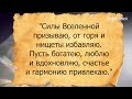 17 мая у Пелагеи просят достатка и семейного счастья...