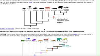 Ch 11.5 OpenStax Biology Common Misconceptions about Evolution