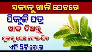 ସକାଳୁ ଖାଲି ପେଟରେ ପିଜୁଳି ପତ୍ର ଖାଇଲେ କେଉଁ ସାଙ୍ଘାତିକ ରୋଗ ଭଲ ହୋଇଥାଏ......