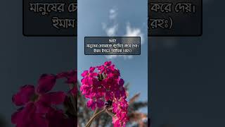 গুনাহ মানুষের চেহারাকে কুৎসিত করে দেয়।ইমাম ইবনে তাইমিয়া (রহঃ)