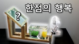 [우마] 한점의 행복 -쥐포 편- Dried Filefish Fillet