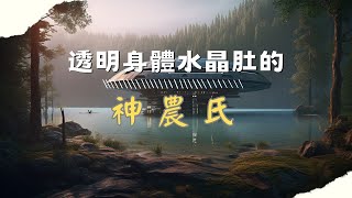 透明身體水晶肚的神農氏