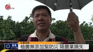 颱風觸陸柚農心酸 秀姑巒溪禁泛舟 2014-07-22 TITV 原視新聞