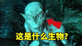 三分钟看懂《上古卷轴5》中的伐莫人