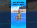 ブイゼルについて ポケモン ブイゼル うみイタチ