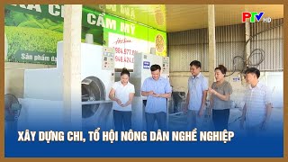 Xây dựng chi, tổ hội nông dân nghề nghiệp