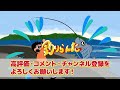 【横須賀海辺つり公園】アジが爆釣する場所と時間を詳しく解説！うみかぜ公園と違ってがら空き...