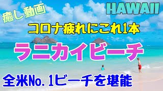 【ハワイのビーチ】ハワイの絶景ビーチにご案内！全米No.1にも選ばれた『天国の海』で癒されよう♪